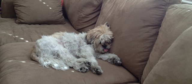napping counts