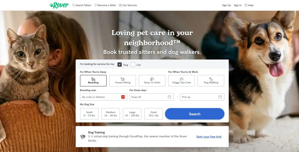 rover sitter review