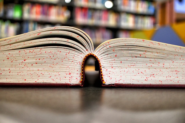 get an mba or start a business