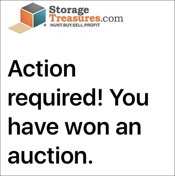 online storage unit auction