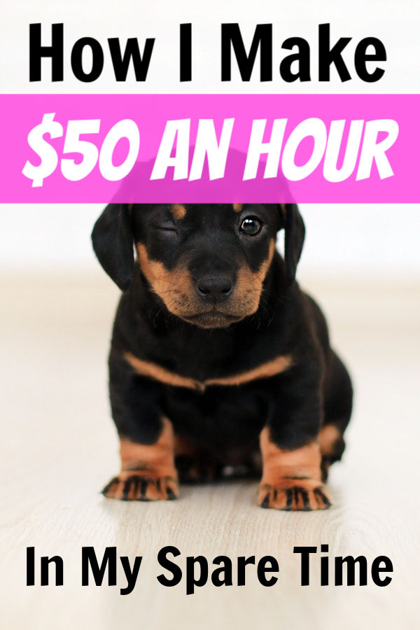 pet waste removal business