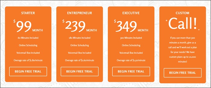 vicky virtual pricing
