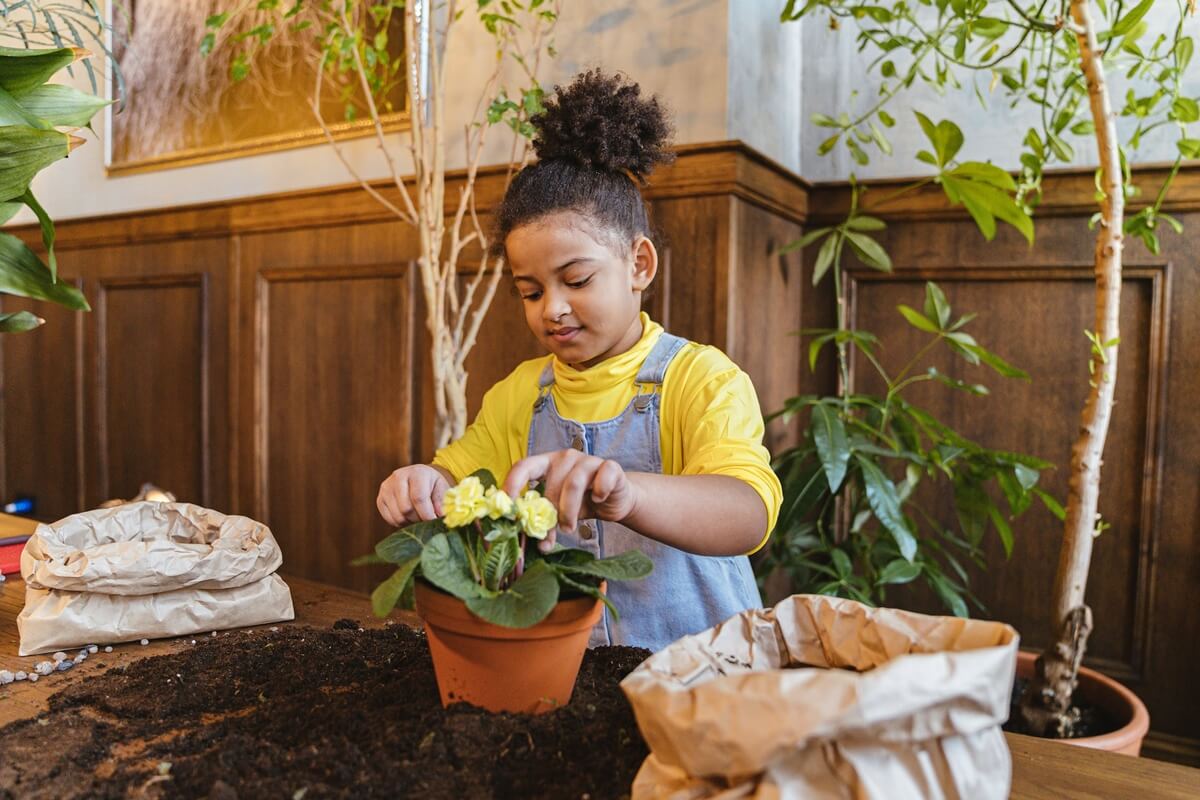 plant sitting