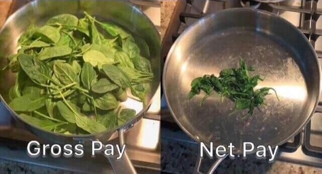 gross pay vs net pay meme