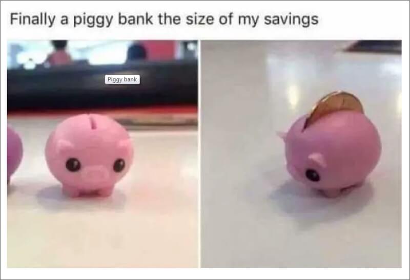 tiny piggy bank meme