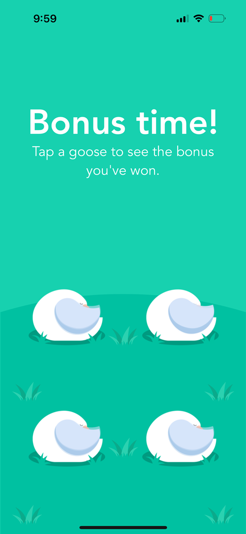 ReceiptPal bonus time